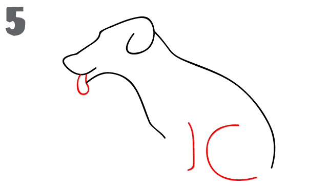 dog drawing step 5