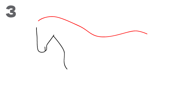 Horse drawing step 3