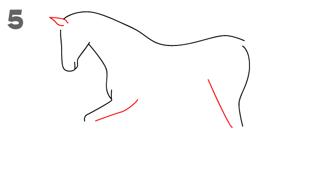 Horse drawing step 5