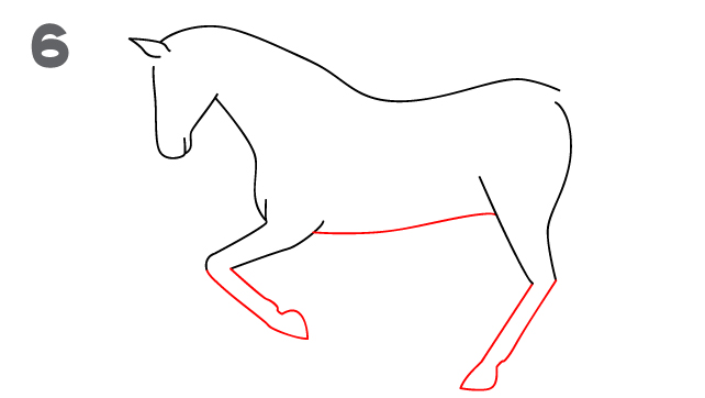 Horse drawing step 6